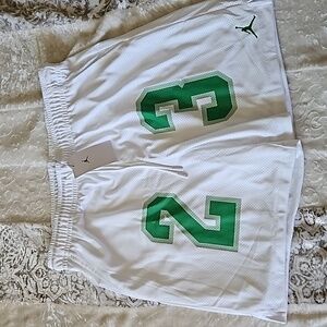 Nike Jordan Mesh GFX Short - XL